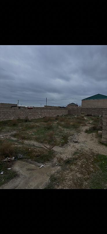 Torpaq sahələrinin satışı: 3 sot, Kənd təsərrüfatı, Kupça (Çıxarış) — 2