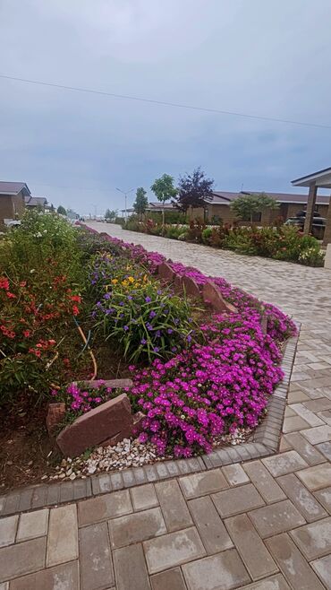 Отели и хостелы: Квартира Ыссык-Куль Продаю квартиру в пансионате Продаю квартиру в — 22