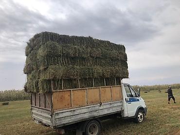 китайские мини авто: Продаю Газел Состояние хорошее по вапросам звоните - Бортовой — 1