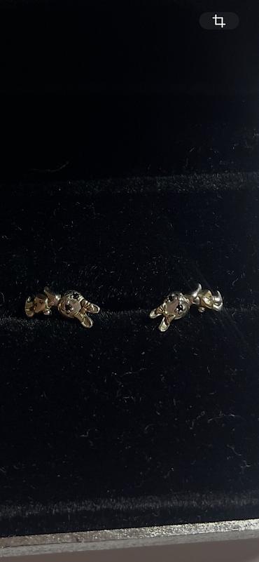 Sırğalar: Sırğa, Gümüş, Ünvandan götürmə — 4