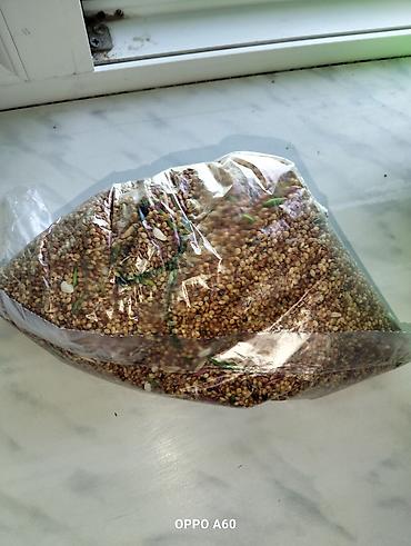 Qəfəslər: Baza ilə birgə dalğalı tutuquşu dəsti - 2 ədəd dalğalı tutuquşu (bir — 9