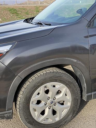 Subaru: Subaru Forester: 2019 г., 2.5 л, Вариатор, Электромобиль, Кроссовер — 32