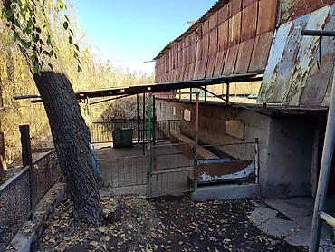 Распашные ворота: Продается дом, в доме четыре комнатыверанда,душ с туалет, есть at lalafo.kg — 23 Распашные ворота: Продается дом, в доме четыре комнатыверанда,душ с туалет, есть — 23