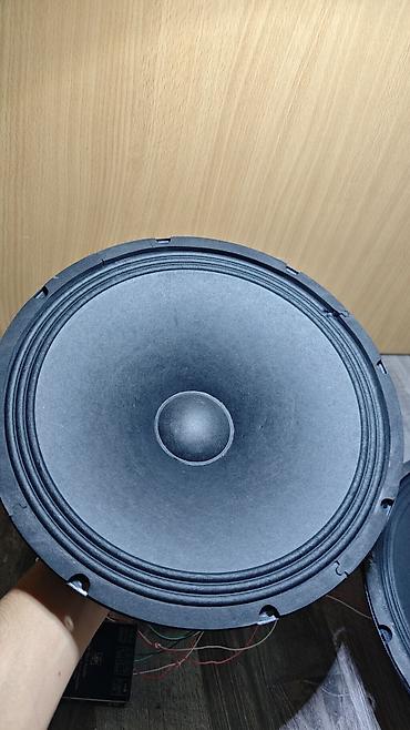 technics rs: Продам динамики 12" для акустики (PA/DJ) — Бишкек 🔥 Продаю пару — 6