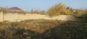 Torpaq sahələrinin satışı: 5 sot, Kupça (Çıxarış) — 4