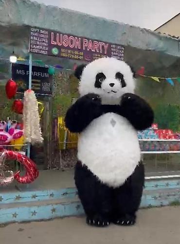bizon promo: Panda maskotu – tədbirlər üçün - Realistik panda obrazında tam boy — 1