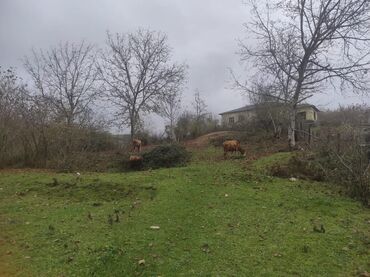 Torpaq sahələrinin satışı: 20 sot, Tikinti, Mülkiyyətçi, Kupça (Çıxarış), Texniki pasport — 25