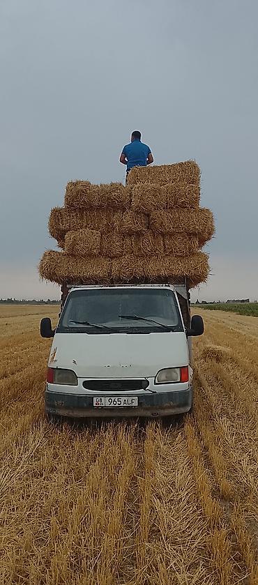 Легкий грузовик, Ford, Б/у — 1