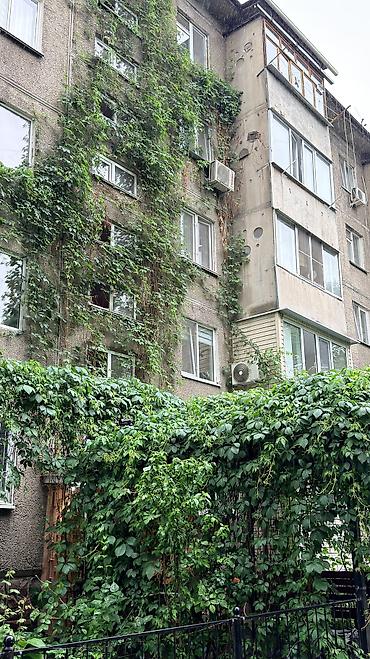 Продажа квартир: 2 комнаты, 48 м², 104 серия, 1 этаж, Евроремонт — 14
