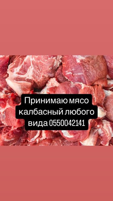 бычки в бишкеке: Куплю | Коровы, быки | Любое состояние