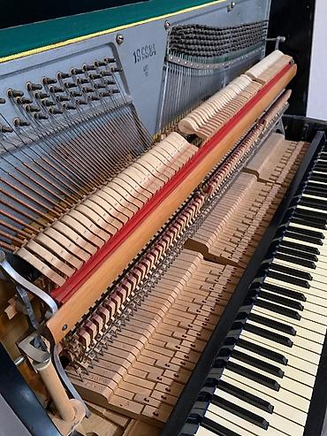 Клавишные инструменты: Oktava modeli piano – akustik Xüsusiyyətlər: - Tip: Şaquli (upright) — 2