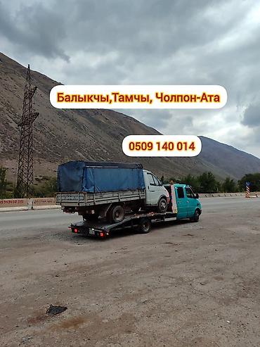 чаек: С лебедкой, С частичной погрузкой, С прямой платформой — 1