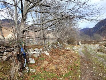 Torpaq sahələrinin satışı: 9 sot, Tikinti, Mülkiyyətçi, Kupça (Çıxarış) — 9