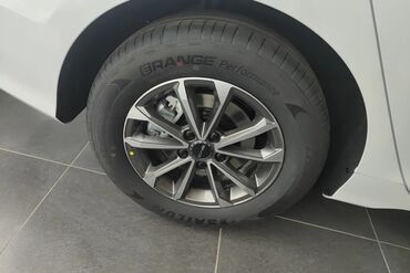 BYD: BYD : 1.5 l | 2024 il 55 km Sedan — 17