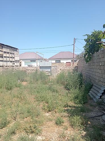 torpax: 2 sot, Mülkiyyətçi, Kupça (Çıxarış) — 5