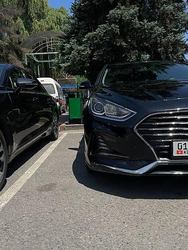 nobles: Hyundai Sonata: 2018 г., 2 л, Автомат, Бензин, Седан — 3