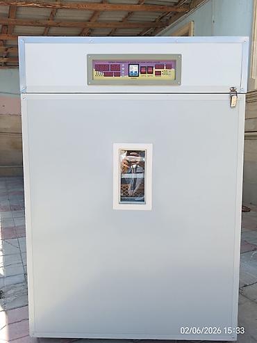 generator ev ucun: 1156 yumurtali inqubator. Avtomatik çevirme temperatur. Təzədir — 1