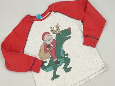 koszulki reggae: Bluza, Little kids, 5-6 lat, 110-116 cm, stan - Bardzo dobry