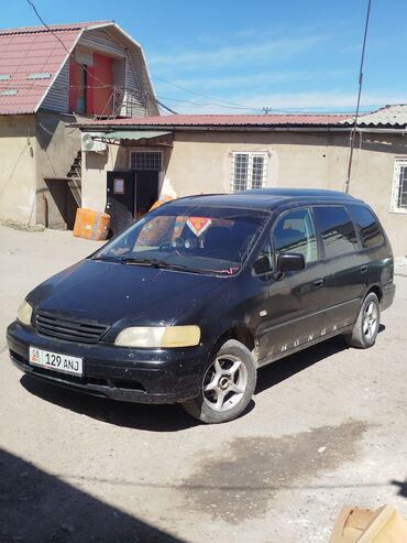 машина фит бишкек: Honda Odyssey: 1996 г., 2.3 л, Автомат, Бензин, Вэн/Минивэн