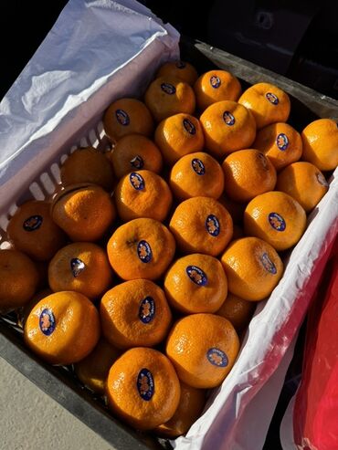 Мандарины: Мандарины — 6