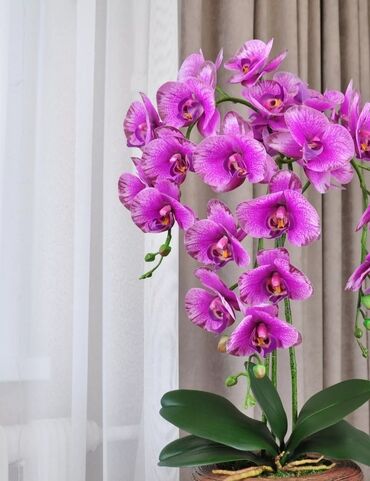 Декоративные цветы: Орхидея искусственная для декора в керамическом горшке Орхидея — 13