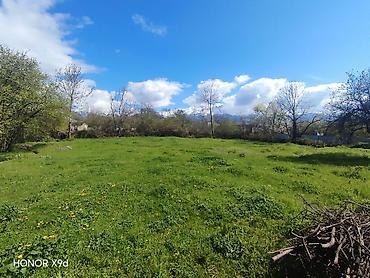 Torpaq sahələrinin satışı: Azərbaycanın ən gözəl guşələrindən biri olan Oğuz rayonu Xaçmaz — 6