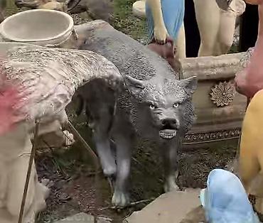 Fiqurlar: Fiqur — 3