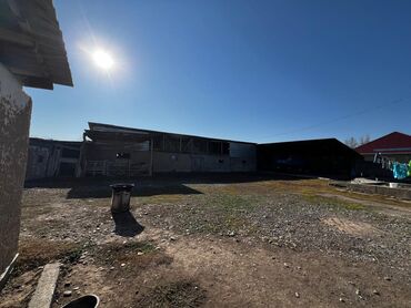 Продажа домов: Дом, 60 м², 2 комнаты, Агентство недвижимости, Косметический ремонт — 8