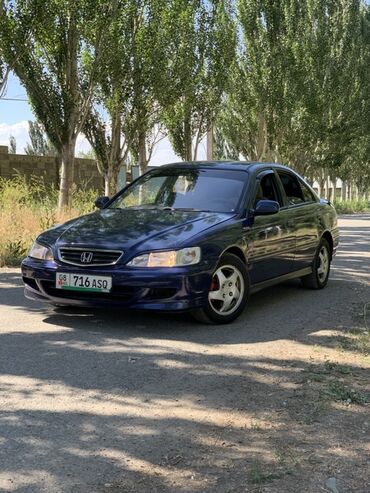 машина адисей: Honda Accord: 2000 г., 1.8 л, Механика, Бензин, Седан