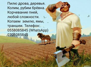 Спил деревьев, заготовка дров: Пилю дрова, небольшие деревья, выкорчевываю пни, кустарники, подрезаю
