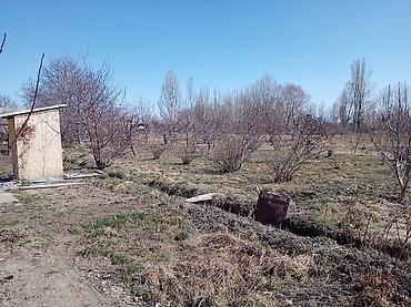 Продажа коттеджей и домов: ПРОДАЁТСЯ ДОМ С УЧАСТКОМ 1 ГЕКТАР В СЕЛЕ Григорьевка (район пристани) — 10