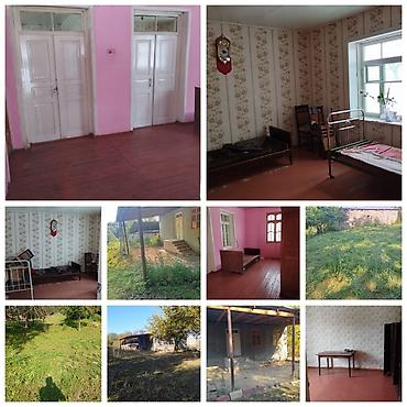 Göygöl Rayonun Quşçu kendinə asfalt yolun kenarı mekdebe yaxın toğanya lalafo.az -da Göygöl Rayonun Quşçu kendinə asfalt yolun kenarı mekdebe yaxın toğanya