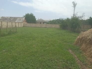 kirayə evlər elimlər: 8 sot, Tikinti, Maklerlər narahat etməsin, Kupça (Çıxarış)