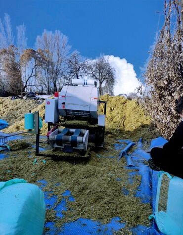 куплю мясо индейки оптом: Услуга силосования 2 сом кг