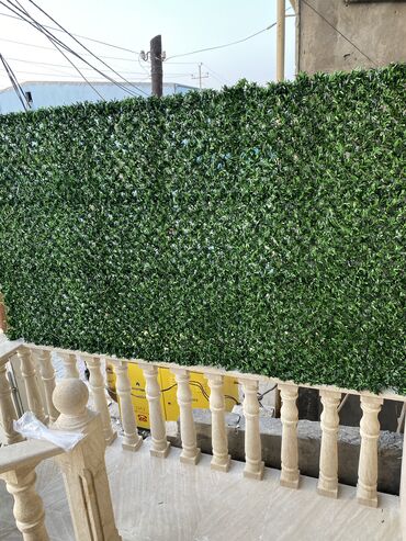 Laminat: 🌿 Yaşıl Hasarlarla Məkanınıza Təbii Gözəllik Gətirin! 🌿 Süni