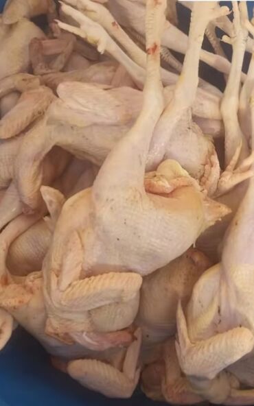 Quş: Məhsul: Təmizlənmiş kənd toyuqları (tam karkas) Təsvir: - Şəkillərdə — 9