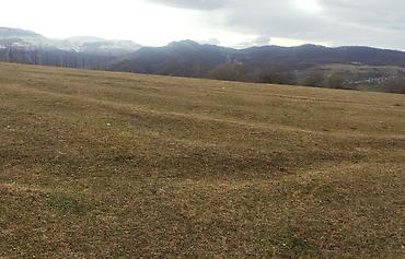 Torpaq sahələrinin satışı: 130 sot, Kənd təsərrüfatı, Kupça (Çıxarış) — 5