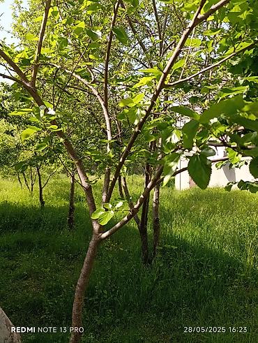 Uzunmüddətli kirayə evlər: 120 kv. m, 2 otaqlı, İnternet — 15