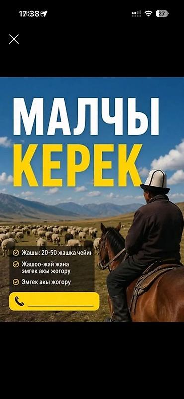 работа водитель в с: Малчы керек уй жылкы бакканга - Возраст: от 20 до 50 лет - — 1