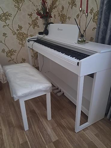 Qiymət 1000azn Greaten Rəqəmsal Piano (88 tam ölçülü Klaviatura) — 1