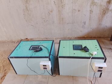 Akvariumlar: 2 eded 120 deneliy inqabatir her biri 150 AZN az işlənmişdi