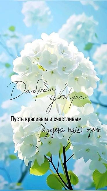 заказщик: Заказчик требуется В большое швейное производство Закройный стол 12 — 1