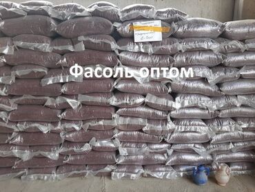 уголь березовый оптом: 📦 Фасоль оптом от производителя — прямые поставки с полей Кыргызстана!