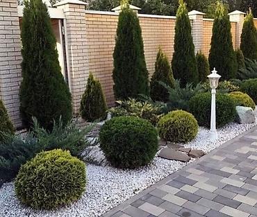 Дизайн, проектирование: Дизайн, Проектирование | Дома — 15