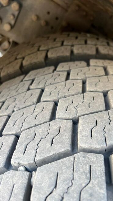 Прицепы и полуприцепы: Прицеп, Scania, Шторный, от 12 т, Б/у — 12