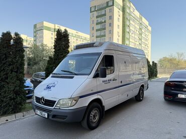 атермальная тонировка: Mercedes-Benz Спринтер: 2005 г., 2.2 л, Механика, Дизель