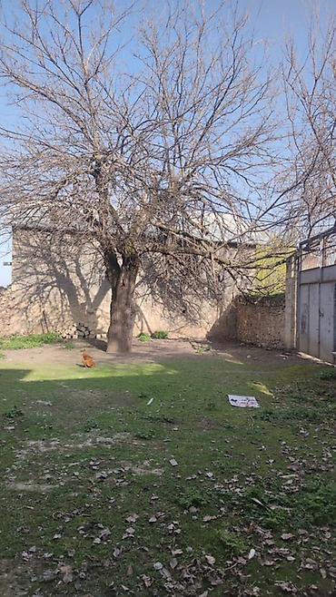 Həyət evləri və villaların satışı: Satılır: Göy göl rayonun Yeni Zod kəndi E.Hacıyev küçəsi ev.68 A — 4