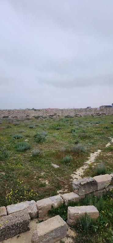 6000: 5 sot, Tikinti, Mülkiyyətçi, Kupça (Çıxarış) — 3
