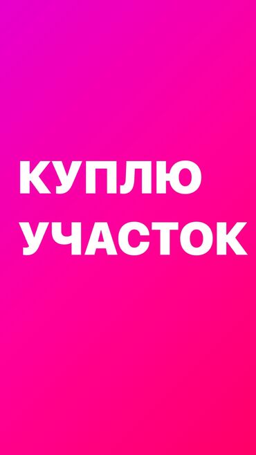 купить машину в бишкек: 4 соток | Газ, Электричество, Водопровод