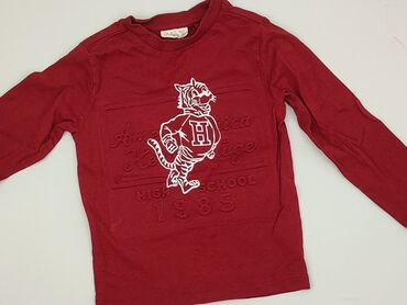 descente kurtki: Sweatshirt, Ovs, 3-4 years, 98-104 cm, condition - Very good